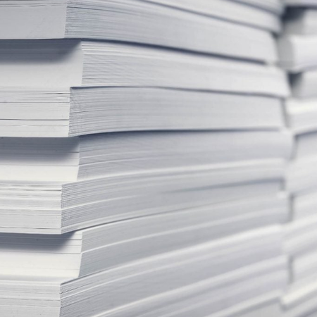 tabaci
